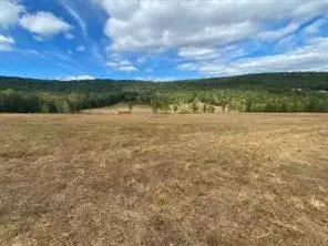 16810 Sr 7, Dover, AR 72837 photo 4