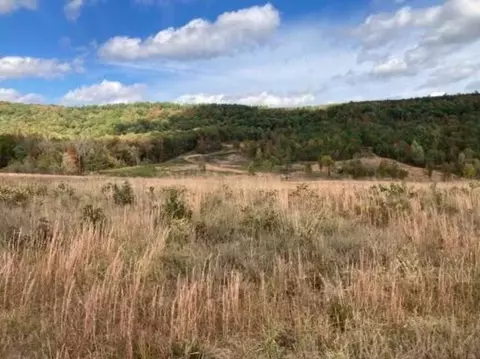 16810 Sr 7, Dover, AR 72837 photo 2