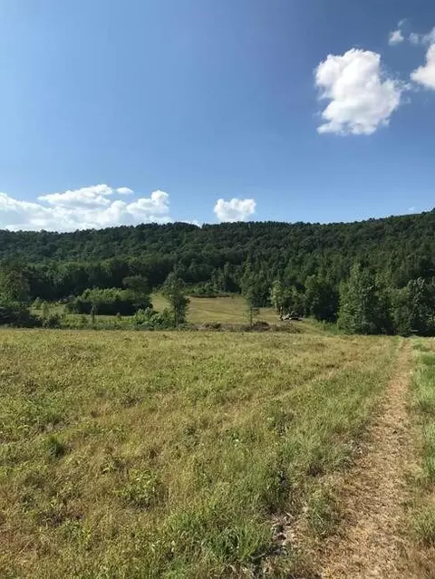 16810 Sr 7, Dover, AR 72837 photo 3