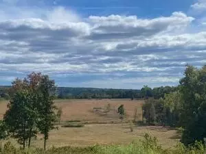 16810 Sr 7, Dover, AR 72837 photo 8