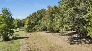 Undisclosed, Danville, AR 72833