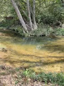 303 S Caney Springs Rd, Melbourne, AR 72556