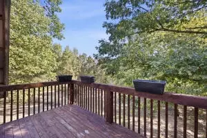 Undisclosed, Dover, AR 72837 photo 28