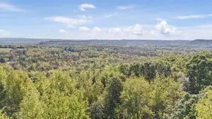 Undisclosed, Dover, AR 72837 photo 40