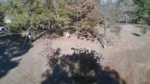 Undisclosed, Dover, AR 72837 photo 10