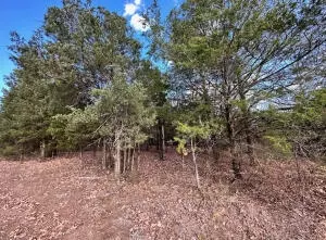 17 Josie Ln, Russellville, AR 72802