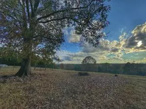 59 Morris Dr, Dover, AR 72837 photo 4