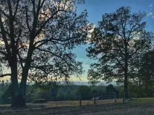 59 Morris Dr, Dover, AR 72837 photo 3