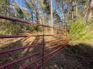 Undisclosed, Russellville, AR 72802