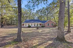 10048 Foxtail Ln, Danville, AR 72833