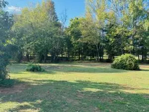 Undisclosed, Dover, AR 72837 photo 40
