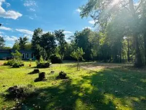 Undisclosed, Dover, AR 72837 photo 39