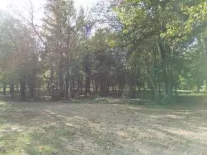 Undisclosed, Dover, AR 72837 photo 34