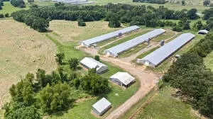 1155 Cr 1651, Knoxville, AR 72845