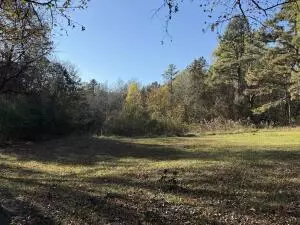 Undisclosed, Dover, AR 72837 photo 5