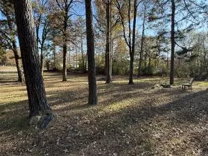 Undisclosed, Dover, AR 72837 photo 3