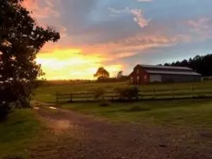 Undisclosed, Dover, AR 72837