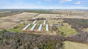 Undisclosed, Ozark, AR 72949 photo 5