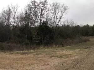 Undisclosed, Springfield, AR 72157 photo 4