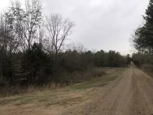 Undisclosed, Springfield, AR 72157 photo 3