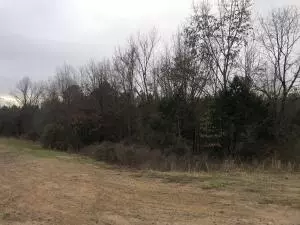 Undisclosed, Springfield, AR 72157 photo 2