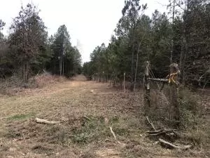 Undisclosed, Springfield, AR 72157