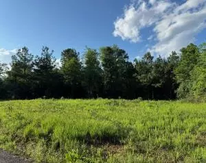 Undisclosed, Dover, AR 72837 photo 2