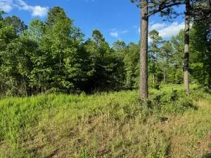 Undisclosed, Dover, AR 72837 photo 3
