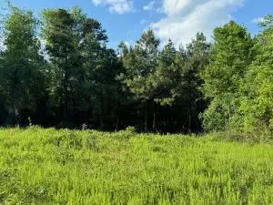 Undisclosed, Dover, AR 72837 photo 4