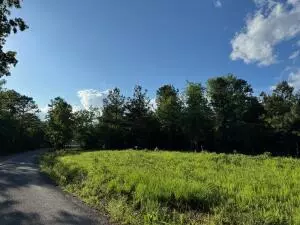 Undisclosed, Dover, AR 72837