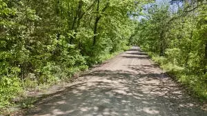 Undisclosed, Dover, AR 72837 photo 5