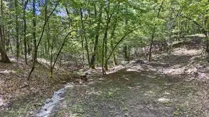 Undisclosed, Dover, AR 72837 photo 10