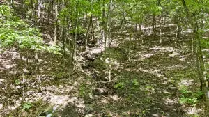 Undisclosed, Dover, AR 72837 photo 9
