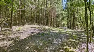 Undisclosed, Dover, AR 72837 photo 14