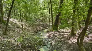 Undisclosed, Dover, AR 72837 photo 11