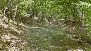 Undisclosed, Dover, AR 72837 photo 12