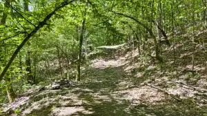 Undisclosed, Dover, AR 72837 photo 13