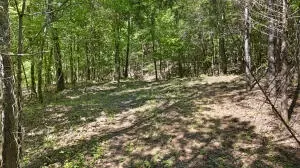 Undisclosed, Dover, AR 72837 photo 7