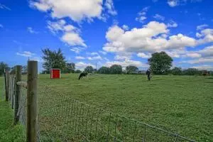 Undisclosed, Scranton, AR 72863 photo 30