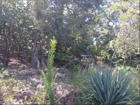 Highland Blvd S, Briarcliff, AR 72653