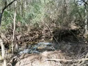 917 Beaumont Beach Rd, Dover, AR 72837 photo 44