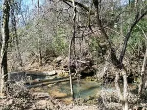917 Beaumont Beach Rd, Dover, AR 72837 photo 43