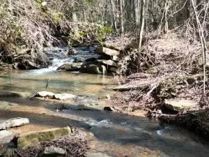 917 Beaumont Beach Rd, Dover, AR 72837 photo 3