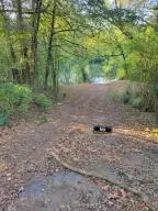 917 Beaumont Beach Rd, Dover, AR 72837 photo 37