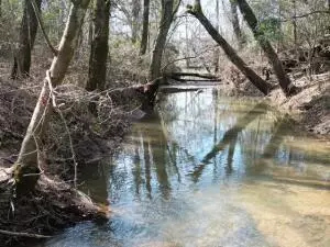 917 Beaumont Beach Rd, Dover, AR 72837 photo 42