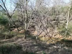 917 Beaumont Beach Rd, Dover, AR 72837 photo 48