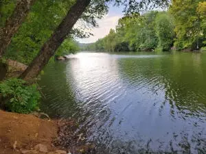917 Beaumont Beach Rd, Dover, AR 72837 photo 38