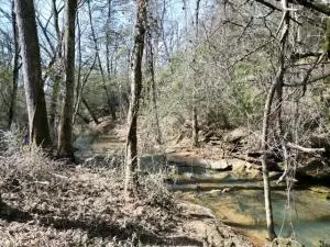 917 Beaumont Beach Rd, Dover, AR 72837 photo 46