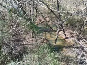 917 Beaumont Beach Rd, Dover, AR 72837 photo 45