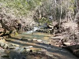 917 Beaumont Beach Rd, Dover, AR 72837 photo 41
